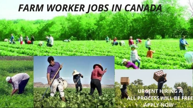 Farm Worker at Canada 2022