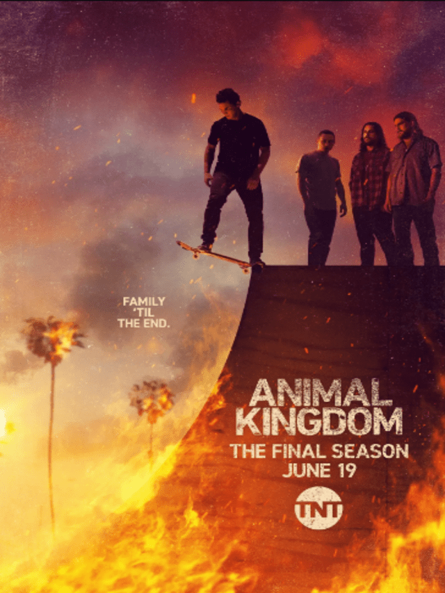 Animal kingdom season 6 recap