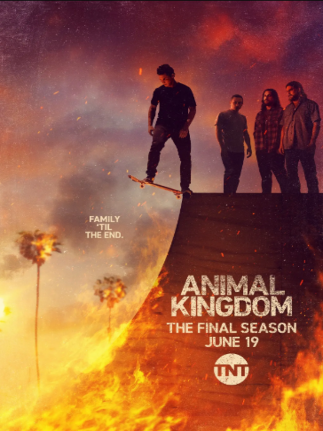 animal kingdom season 6 recap