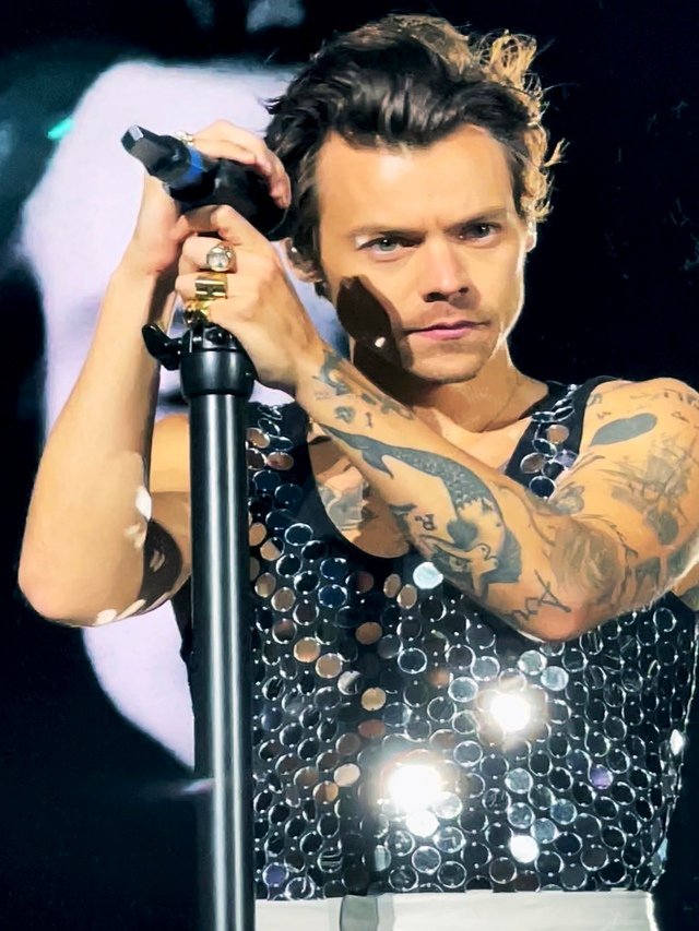 Don't Worry Darling. Fans have questions about Harry Styles'