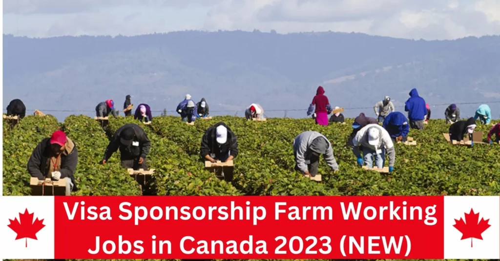 Farm Worker Hiring In Canada